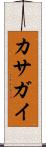 カサガイ Scroll