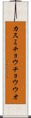 カスミチョウチョウウオ Scroll