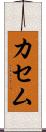 カセム Scroll