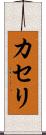 カセリ Scroll