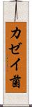 カゼイ菌 Scroll