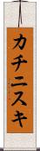カチニスキ Scroll