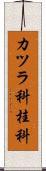 カツラ科 Scroll