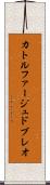 カトルファージュドブレオ Scroll