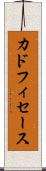 カドフィセース Scroll