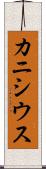 カニシウス Scroll