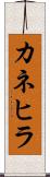 カネヒラ Scroll