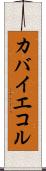 カバイエコル Scroll