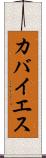 カバイエス Scroll