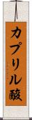 カプリル酸 Scroll