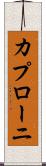 カプローニ Scroll