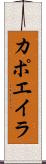 カポエイラ Scroll