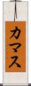 カマス Scroll