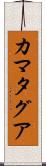 カマタグア Scroll
