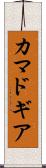 カマドギア Scroll