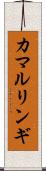 カマルリンギ Scroll