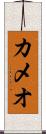 カメオ Scroll