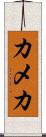 カメカ Scroll