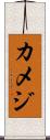 カメジ Scroll