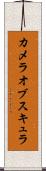 カメラオブスキュラ Scroll