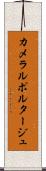 カメラルポルタージュ Scroll