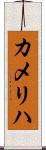 カメリハ Scroll