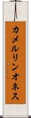 カメルリンオネス Scroll