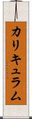 カリキュラム Scroll