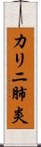 カリニ肺炎 Scroll