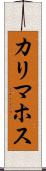 カリマホス Scroll