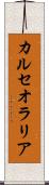 カルセオラリア Scroll