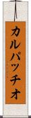 カルパッチオ Scroll