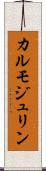 カルモジュリン Scroll