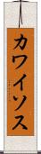カワイソス Scroll