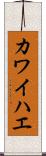 カワイハエ Scroll