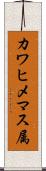 カワヒメマス属 Scroll