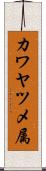 カワヤツメ属 Scroll