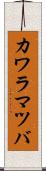 カワラマツバ Scroll