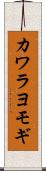 カワラヨモギ Scroll