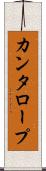 カンタロープ Scroll