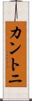 カントニ Scroll