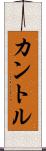 カントル Scroll