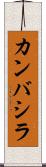 カンバシラ Scroll