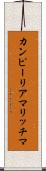 カンピーリアマリッチマ Scroll