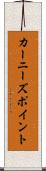 カーニーズポイント Scroll