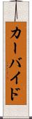 カーバイド Scroll