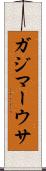 ガジマーウサ Scroll