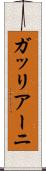 ガッリアーニ Scroll