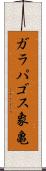 ガラパゴス象亀 Scroll