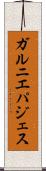 ガルニエパジェス Scroll